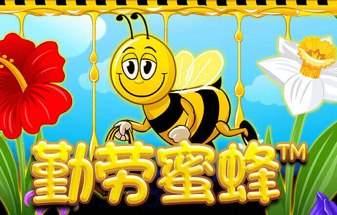 93体育官网下载